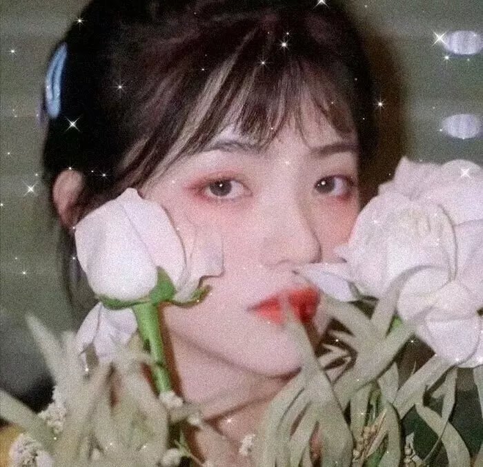 灯火管制 封面